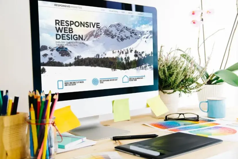 Servei de disseny web professional amb WordPress i Divi.