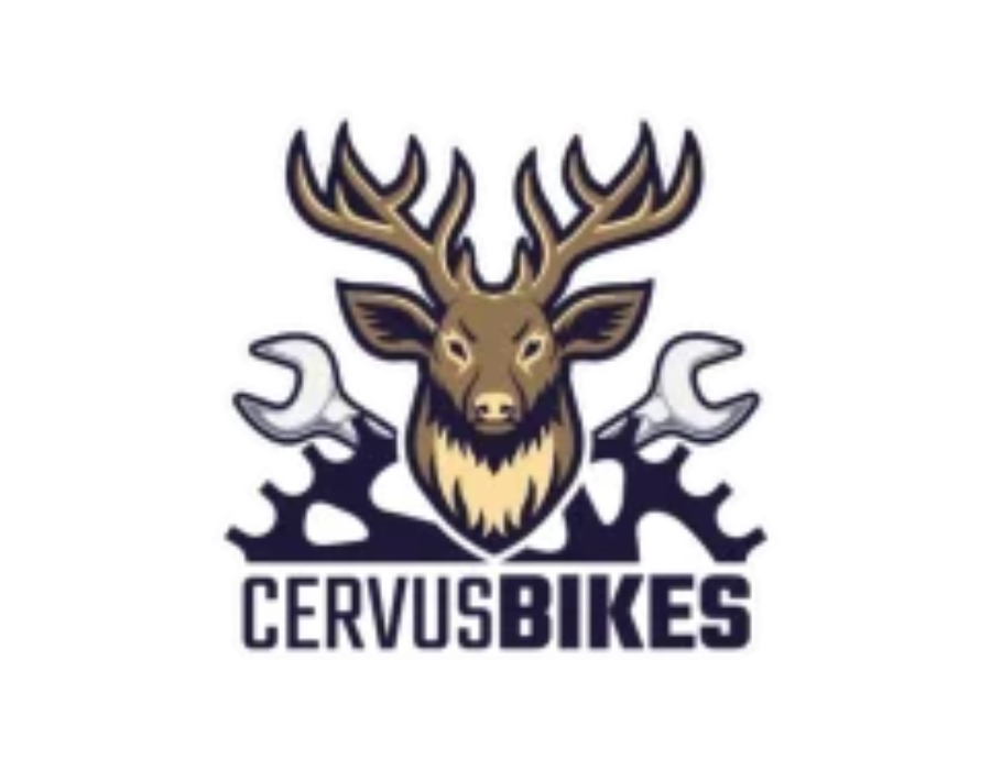 Proyecto Cervus Bikes